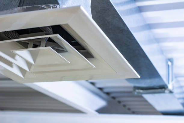 Air Duct Mold Removal in Hudson Oaks, TX